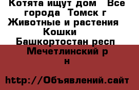 Котята ищут дом - Все города, Томск г. Животные и растения » Кошки   . Башкортостан респ.,Мечетлинский р-н